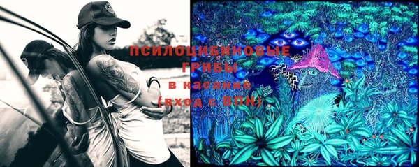 МДПВ Горняк
