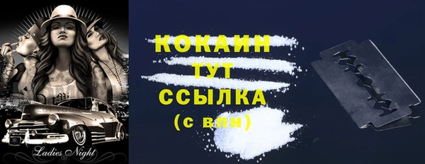 МДПВ Горняк
