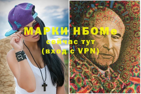 амф Гусев