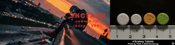амф Гусев