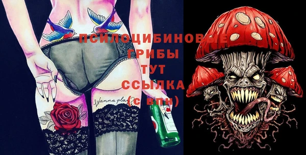 apvp Гусь-Хрустальный
