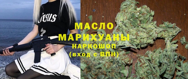 амф Гусев