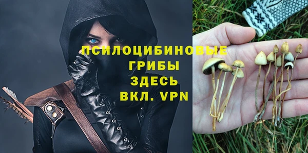 mdma Горнозаводск