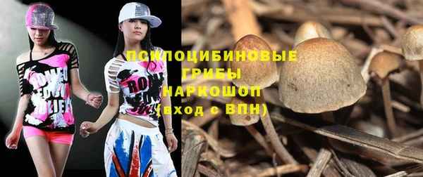 МДПВ Горно-Алтайск