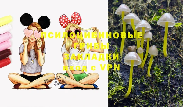 МДПВ Горняк